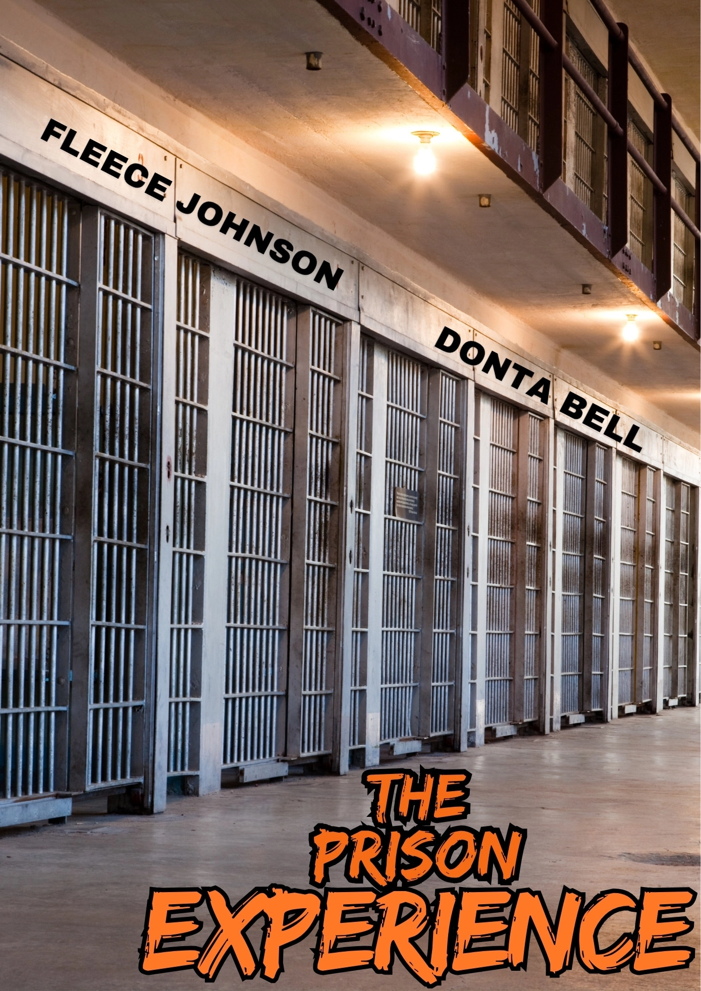 The Prison Experience