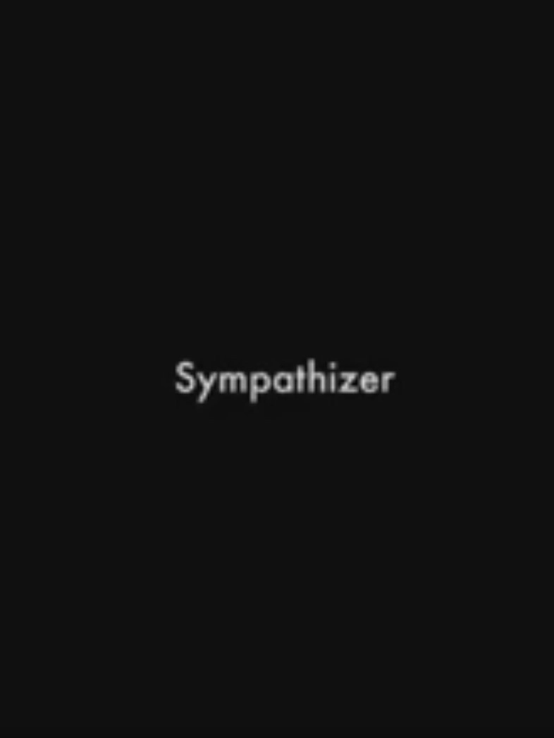 Sympathizer