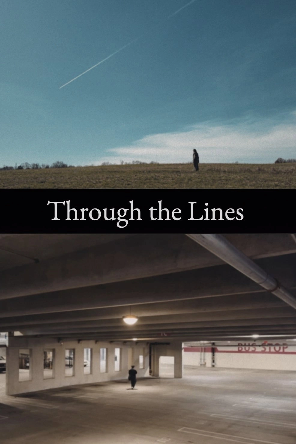 Through the Lines