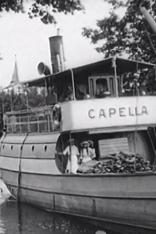Dalsland's Canal