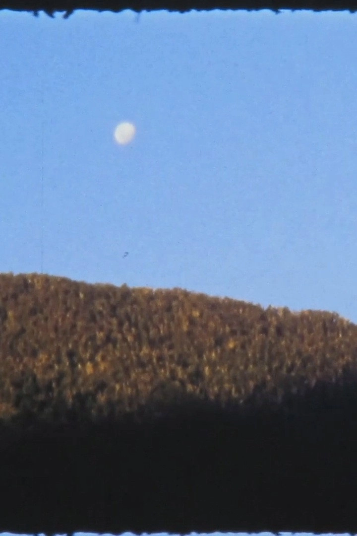 El Manso