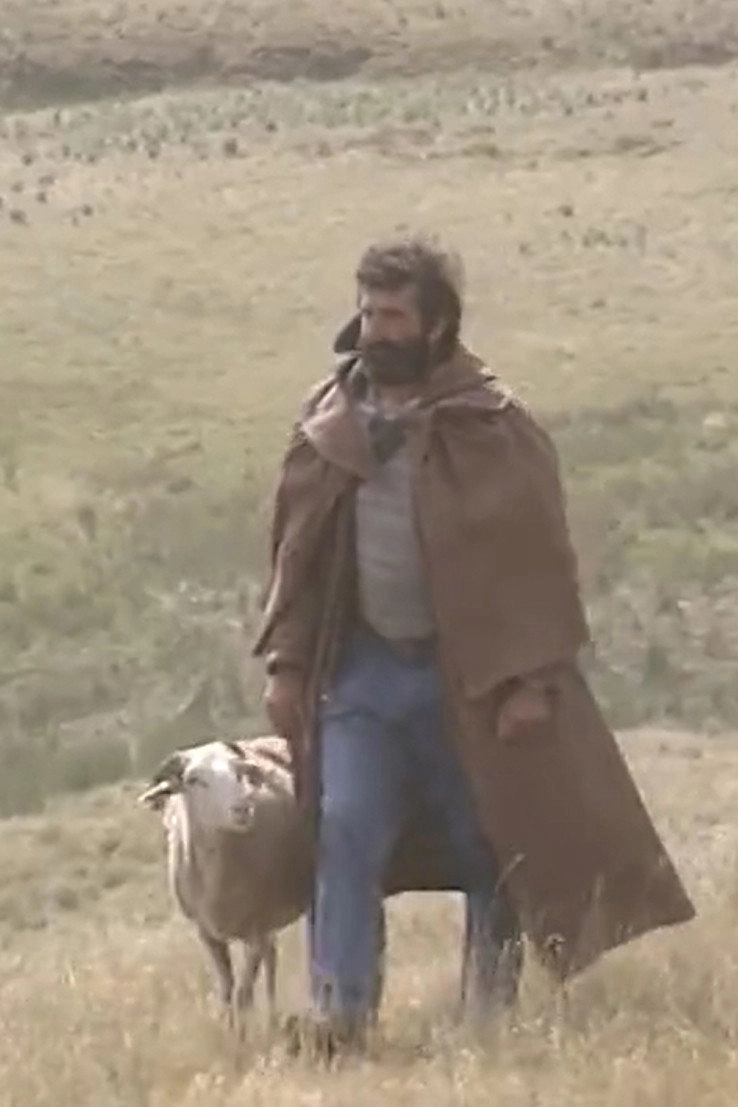 Shepherd and beyond