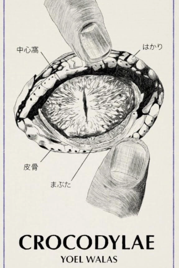 Crocodylae