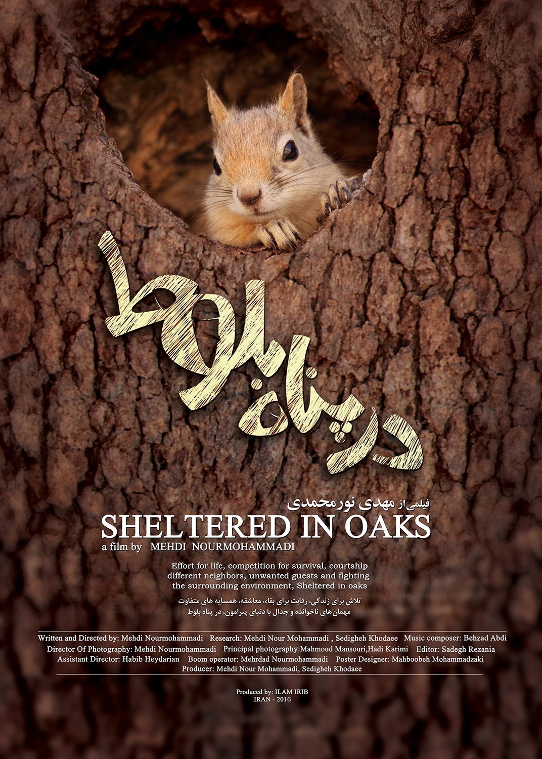 Sheltered in Oaks