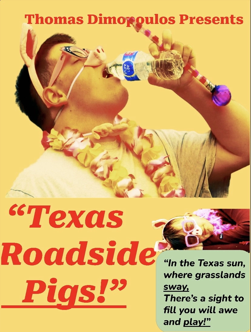 Texas Roadside Pigs!