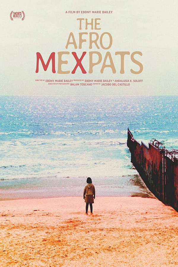 The Afro Mexpats