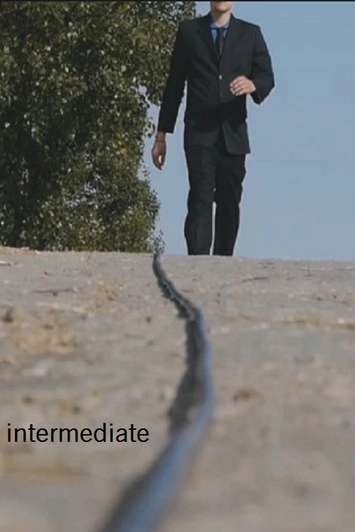 Intermediate