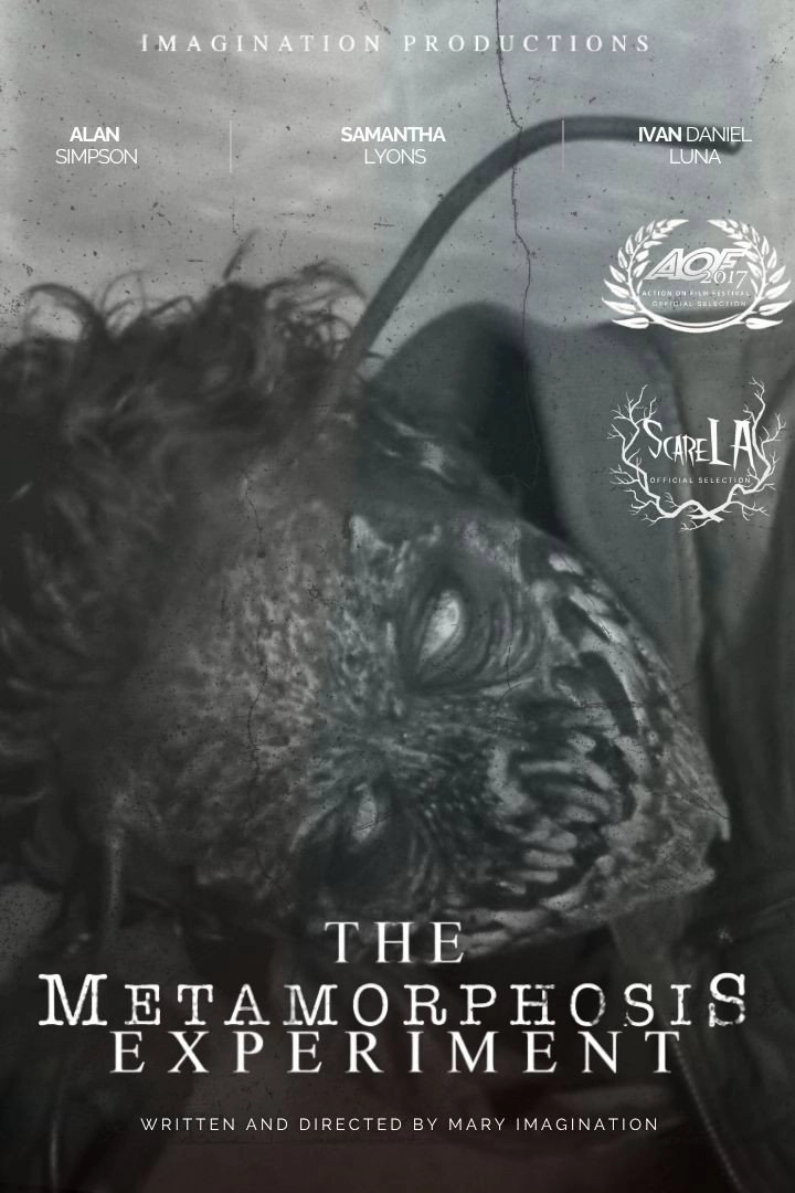 The Metamorphosis Experiment