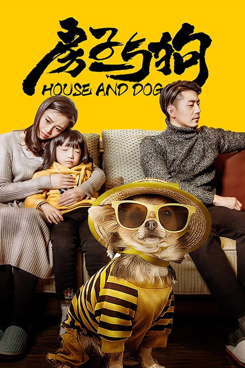 房子与狗