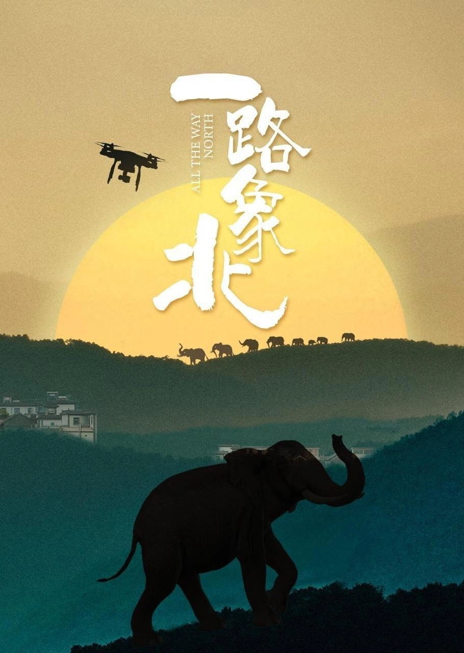一路“象”北