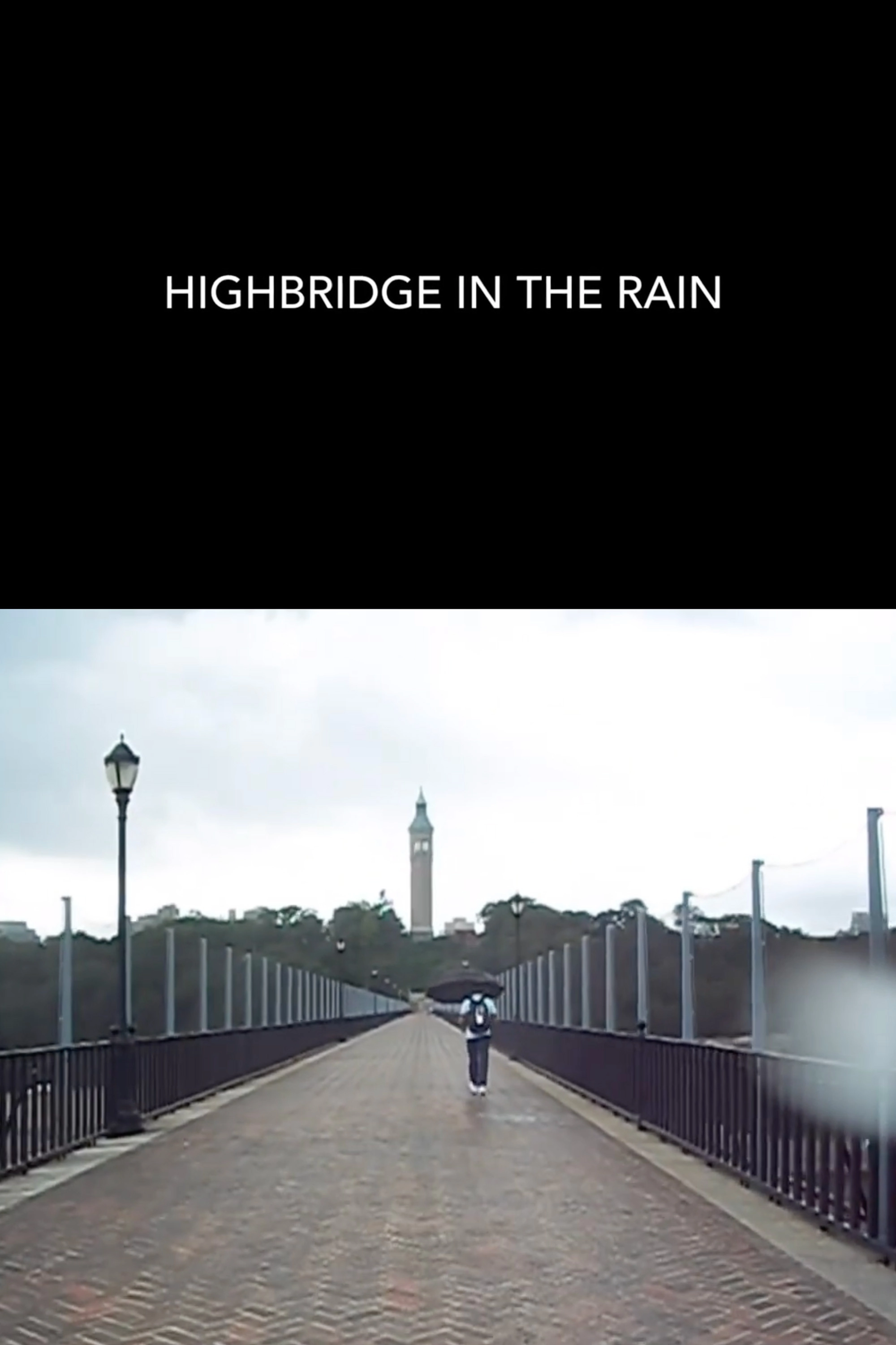 Highbridge in the Rain