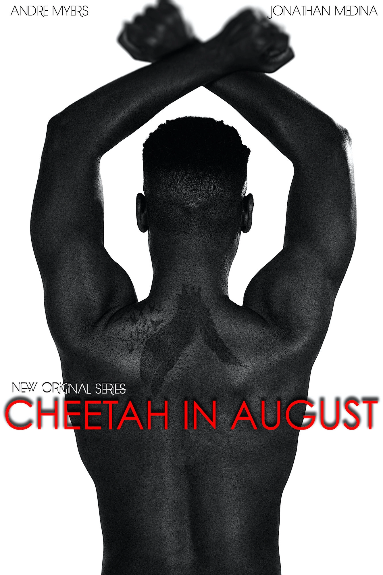 Cheetah in August