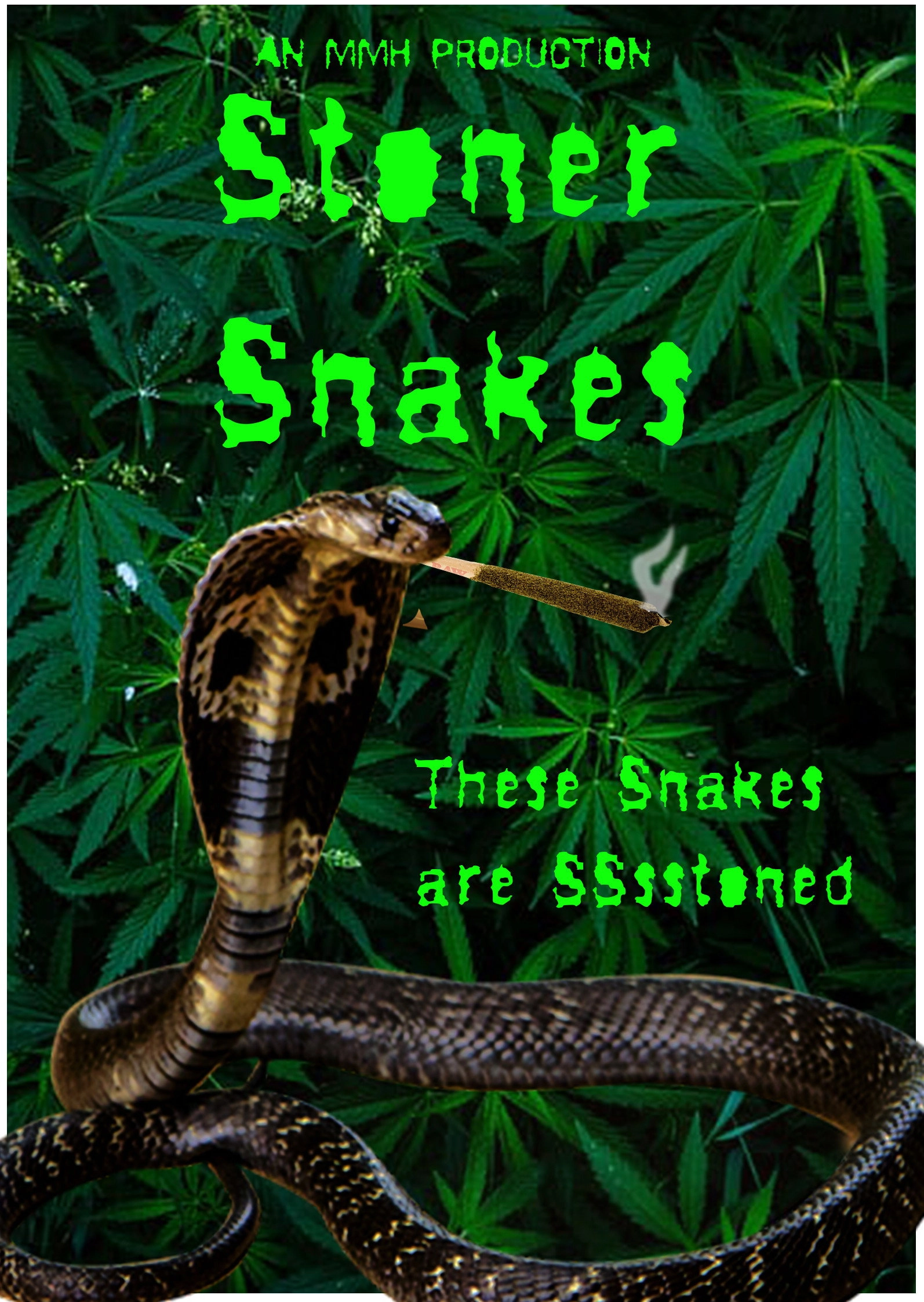 Stoner Snakes