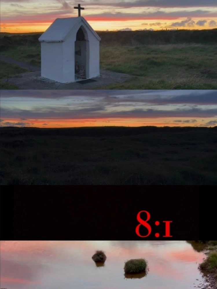 8:1