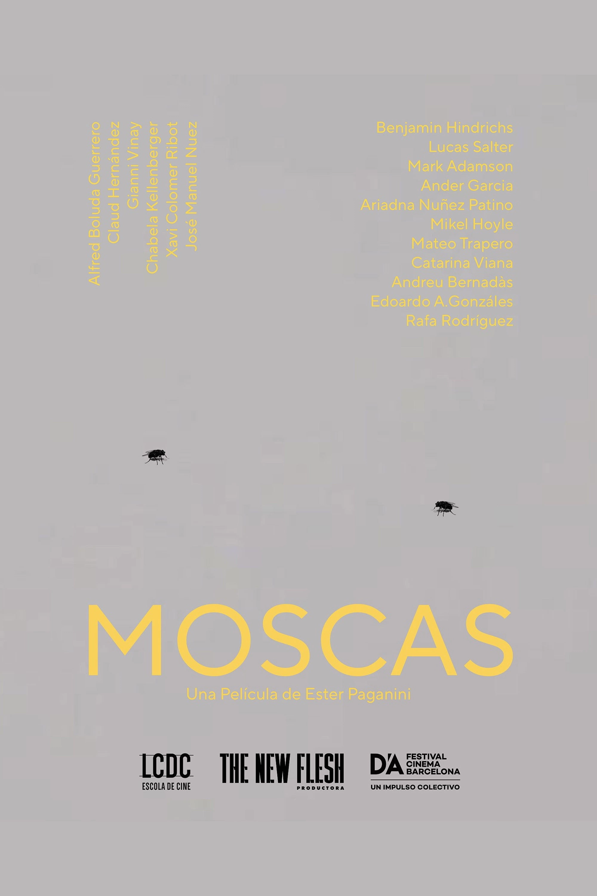 Moscas