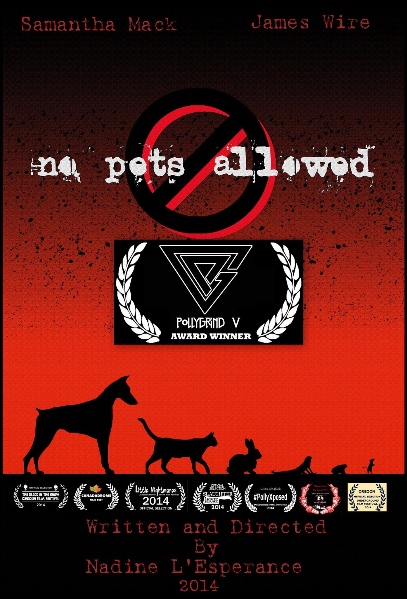 No Pets Allowed