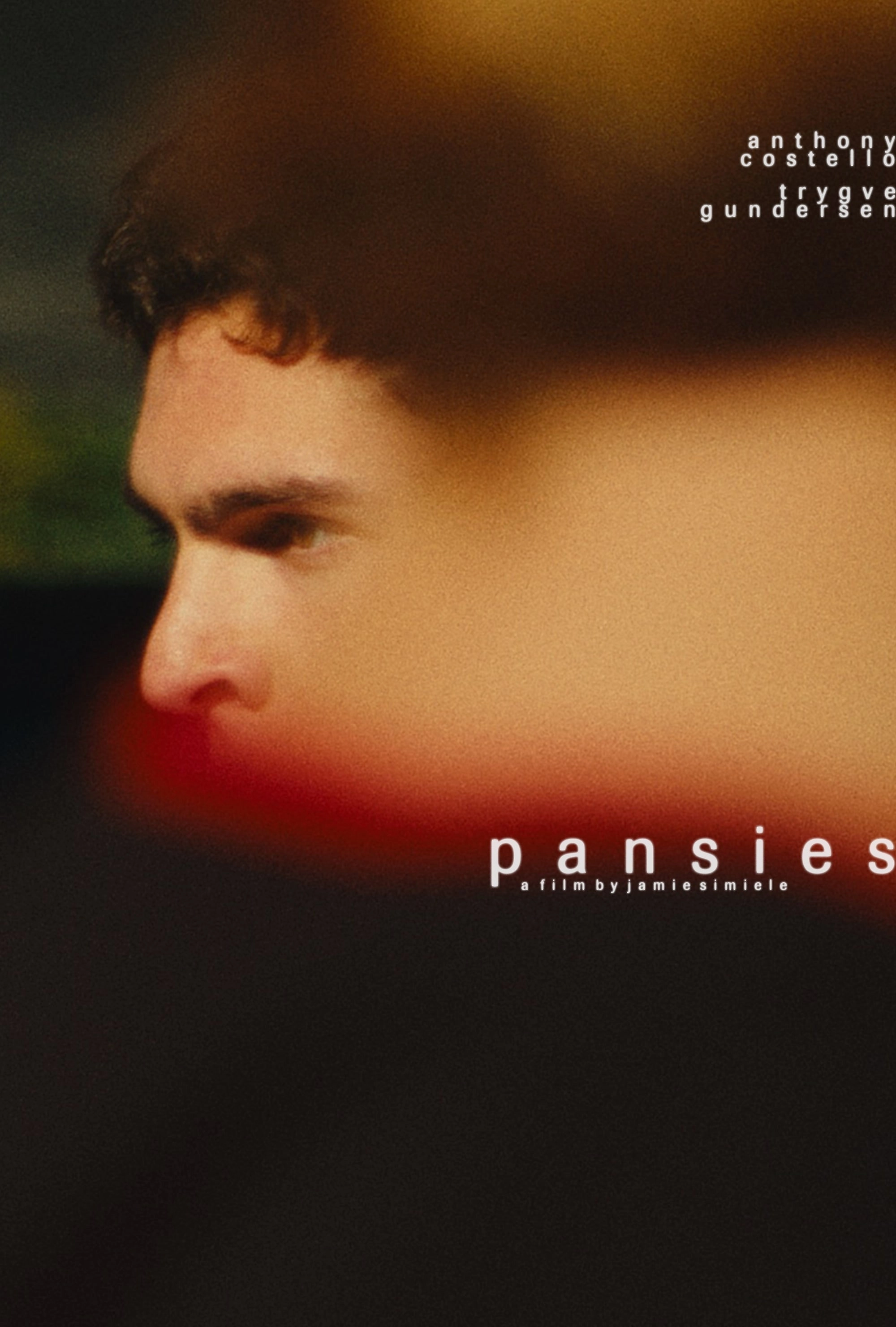 pansies