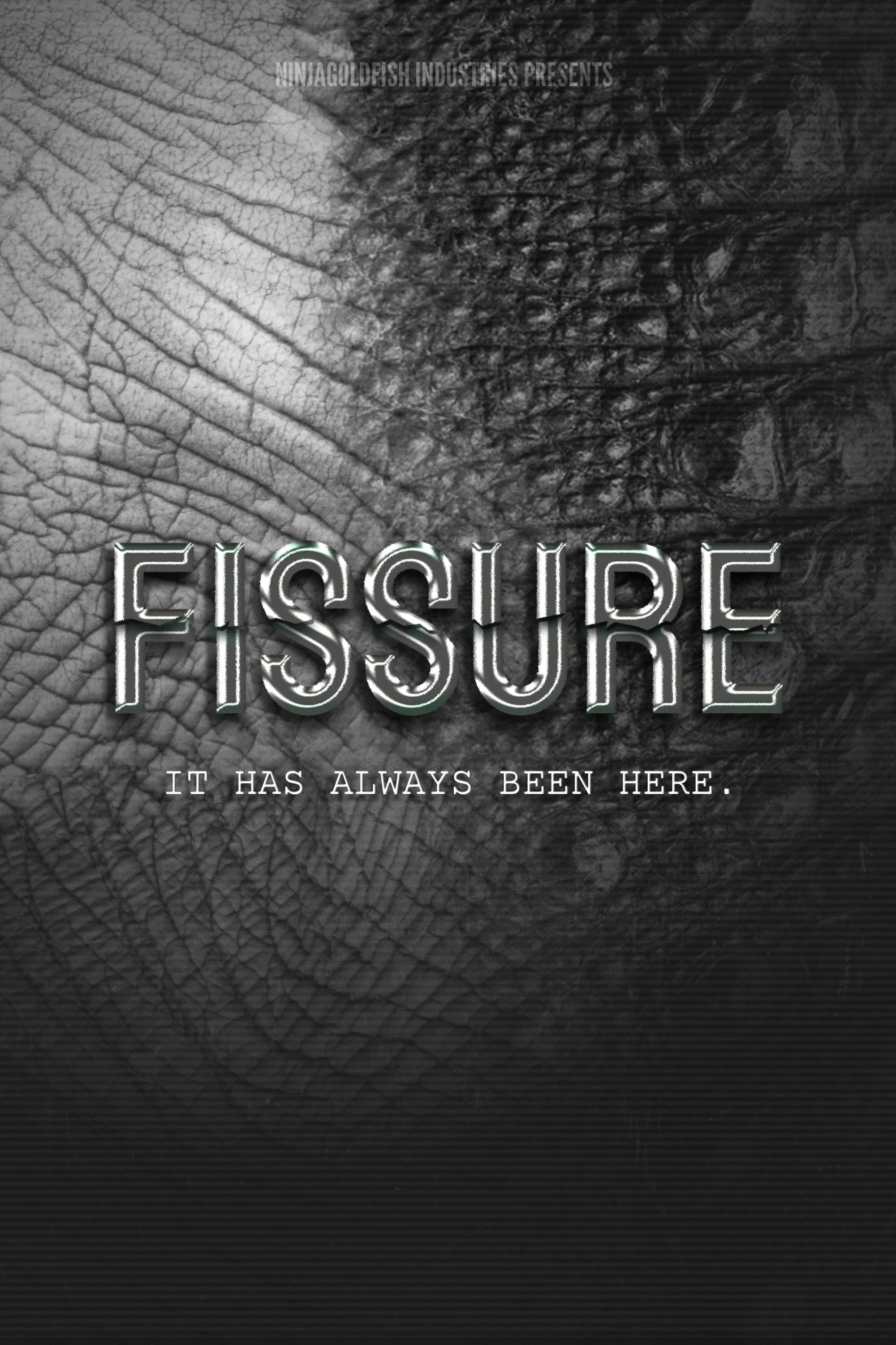 FISSURE