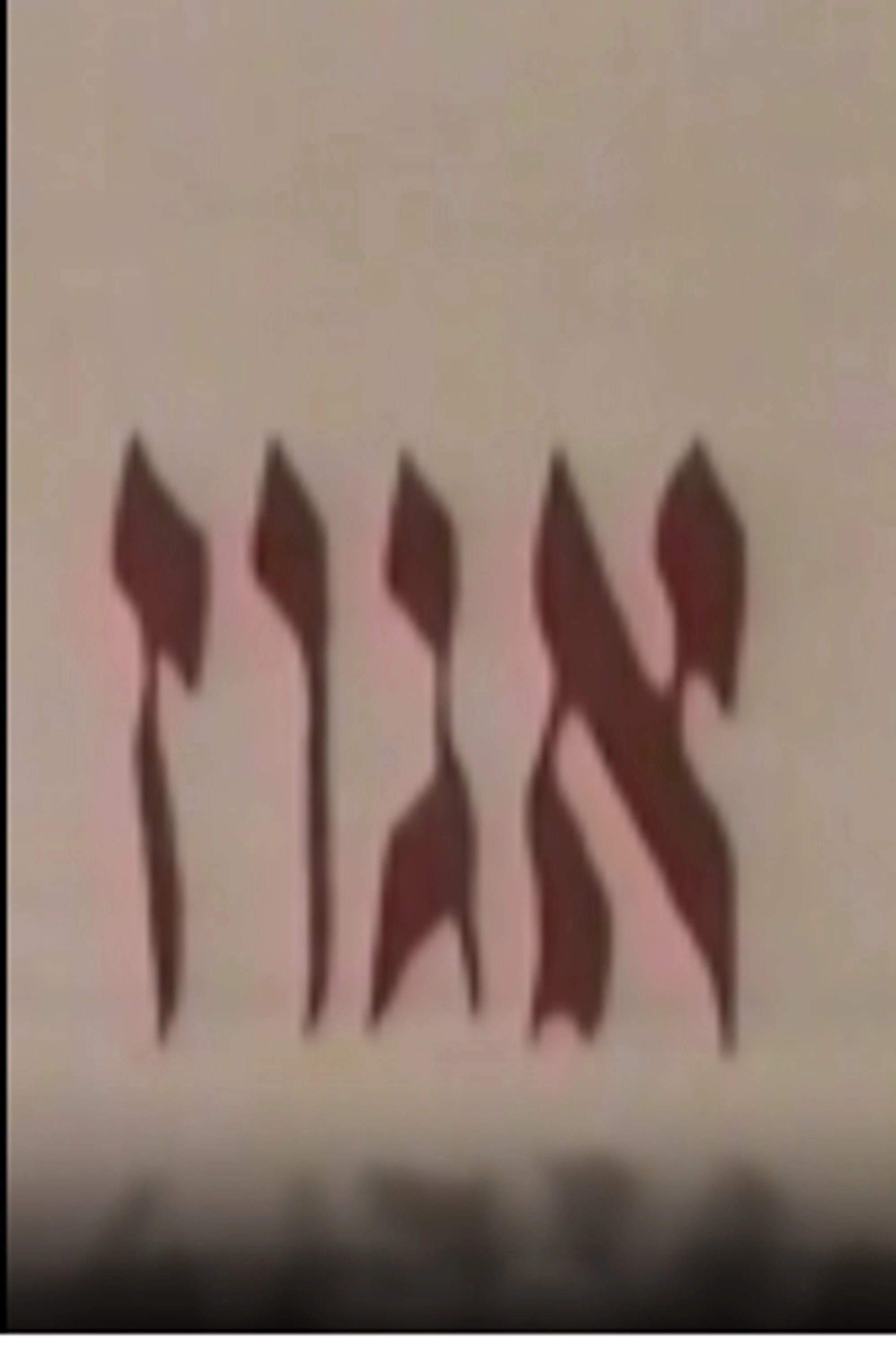 אגוז