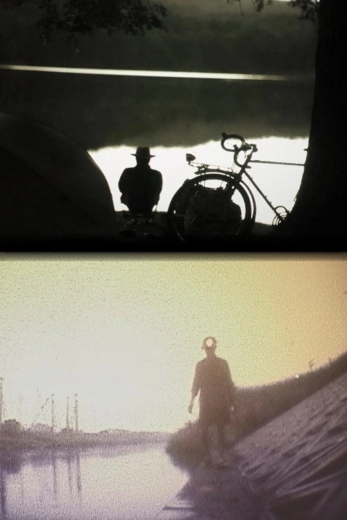 Galaxy Bicycle Night