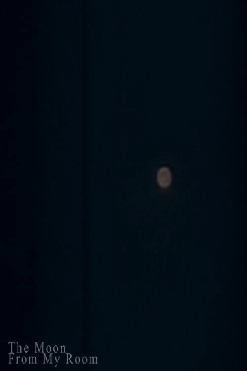 The Moon from My Room