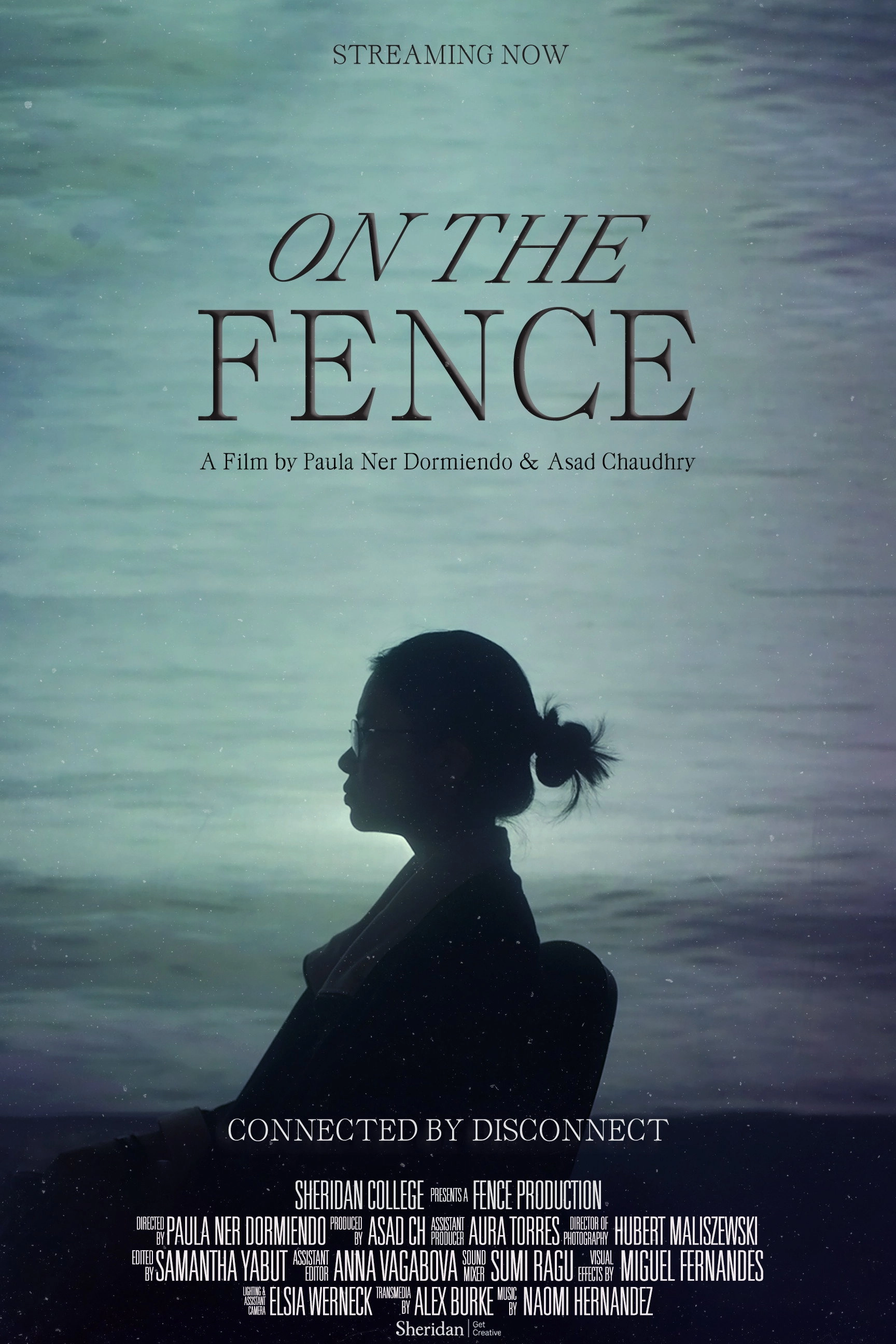 On the Fence