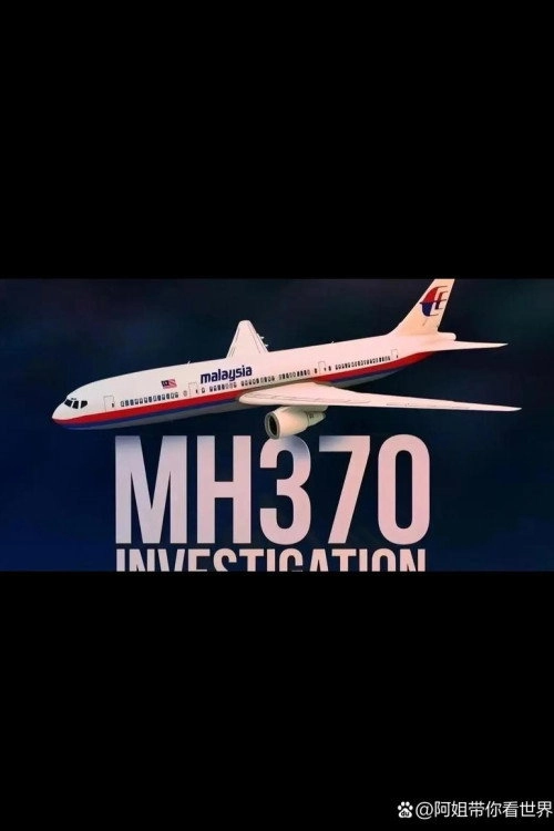 Drain the Oceans MH370