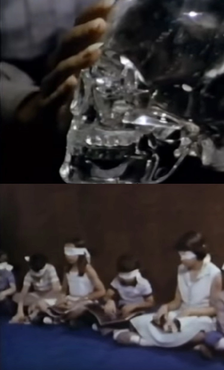 The Psychic Connection