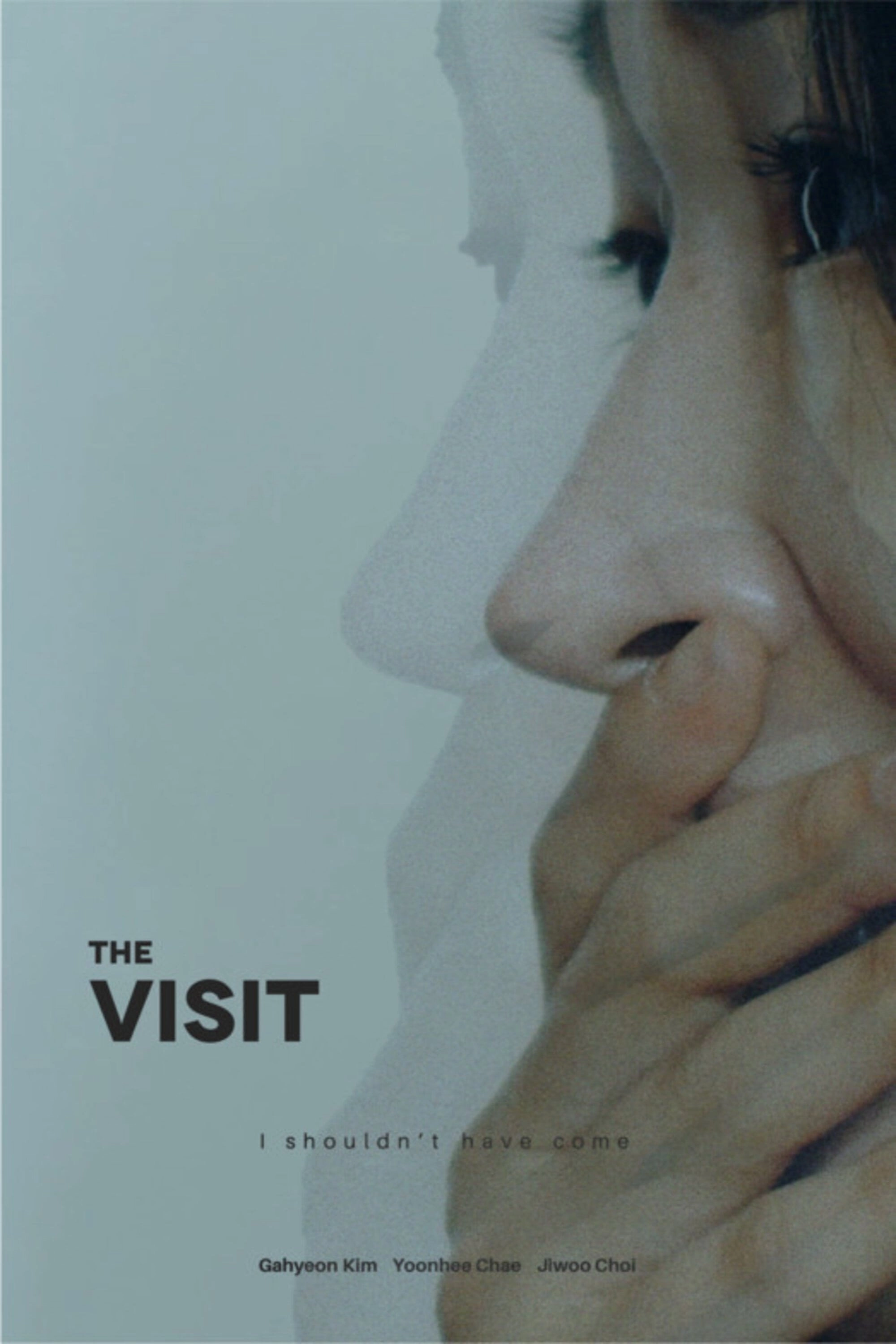 Visit
