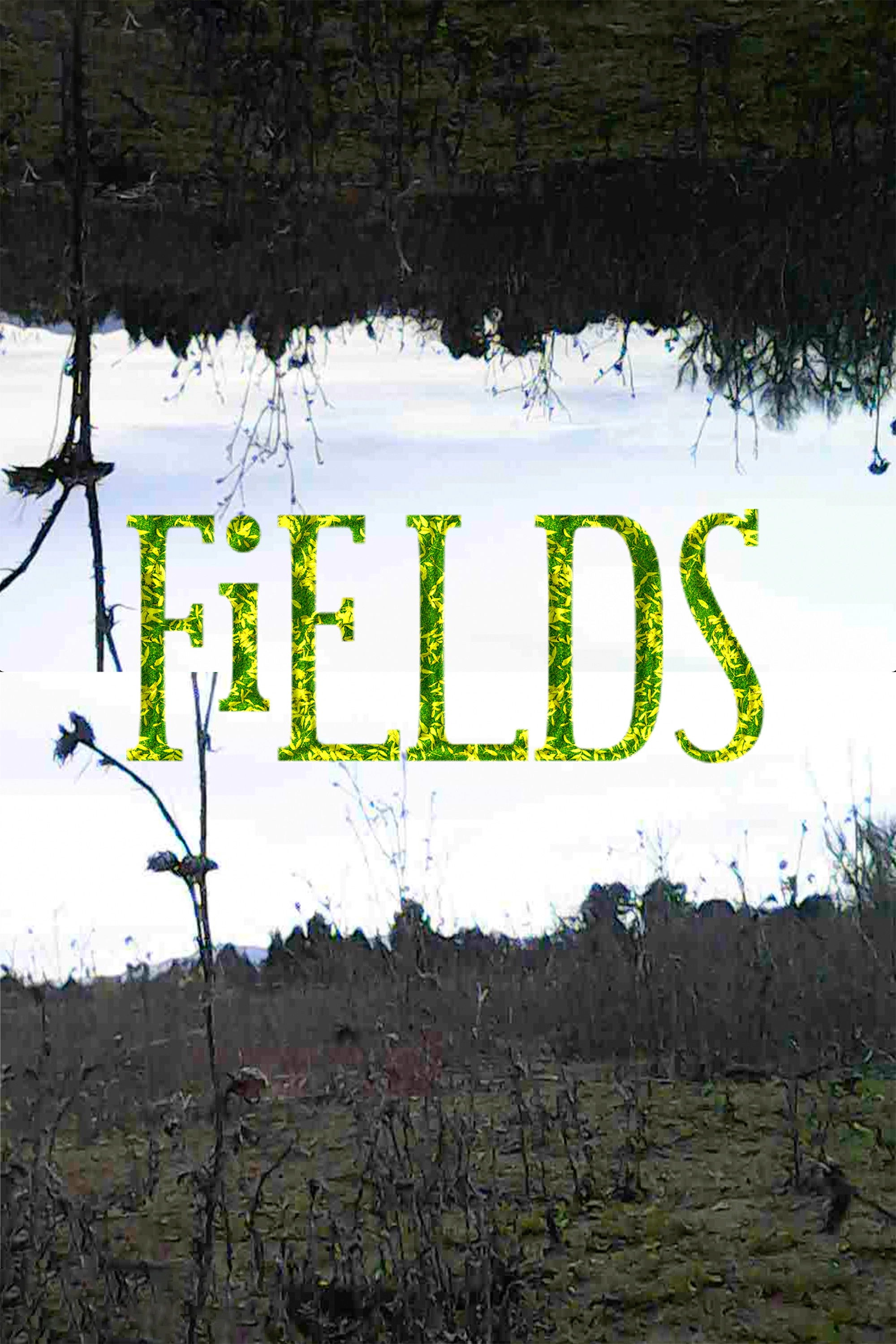 FiELDS
