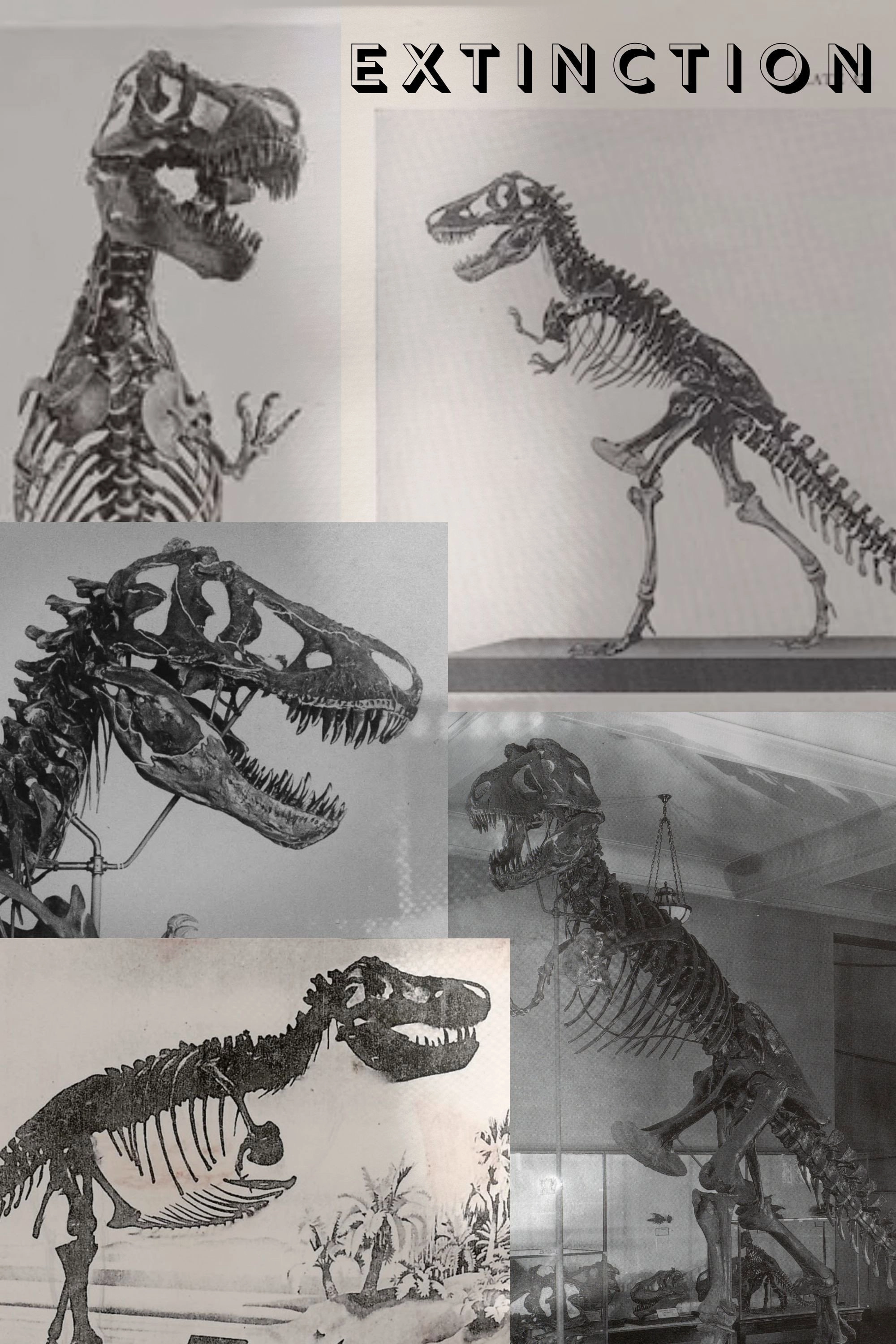 Extinction