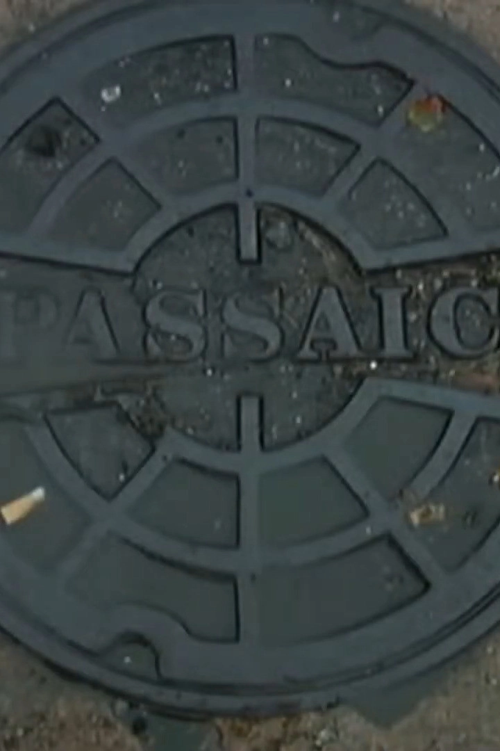 Passaic Mosaic