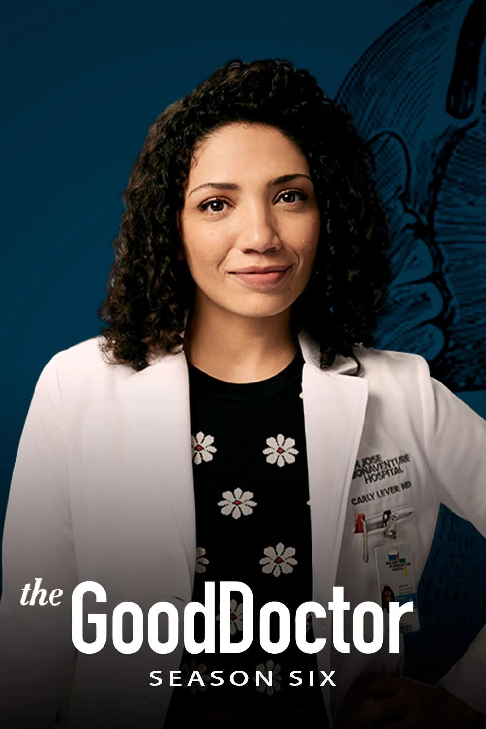 Season 6
