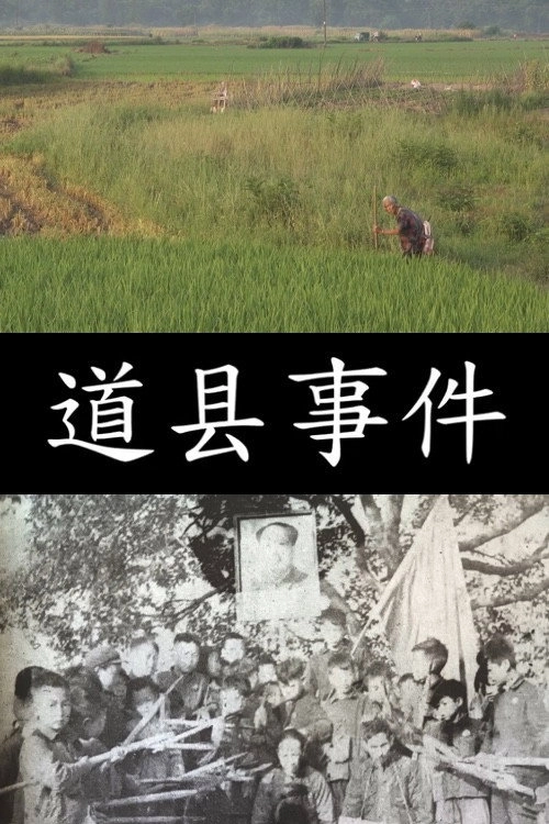 The Daoxian Incident