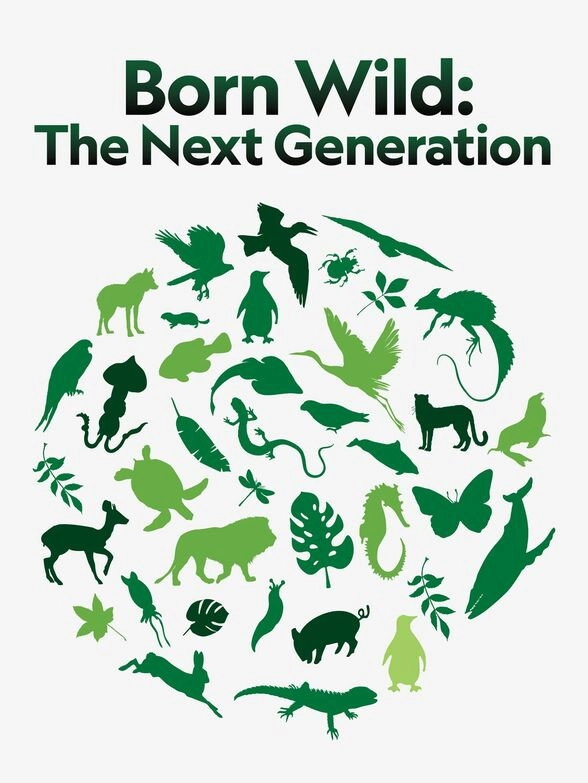 Born Wild: The Next Generation