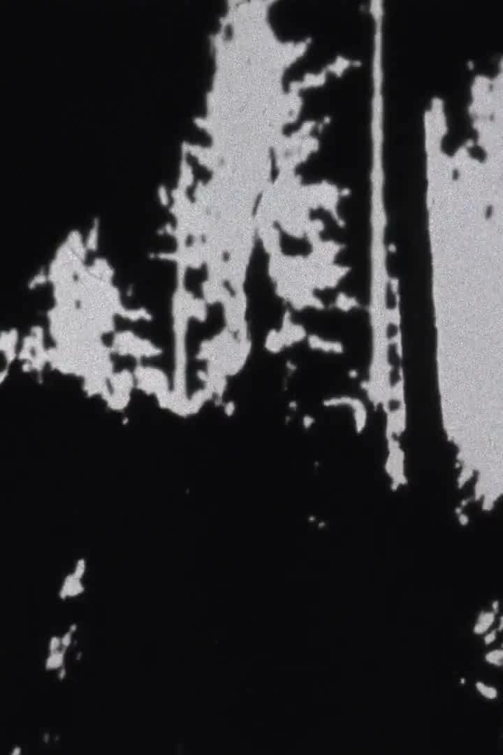 Treefall