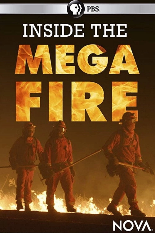 Inside The Megafire