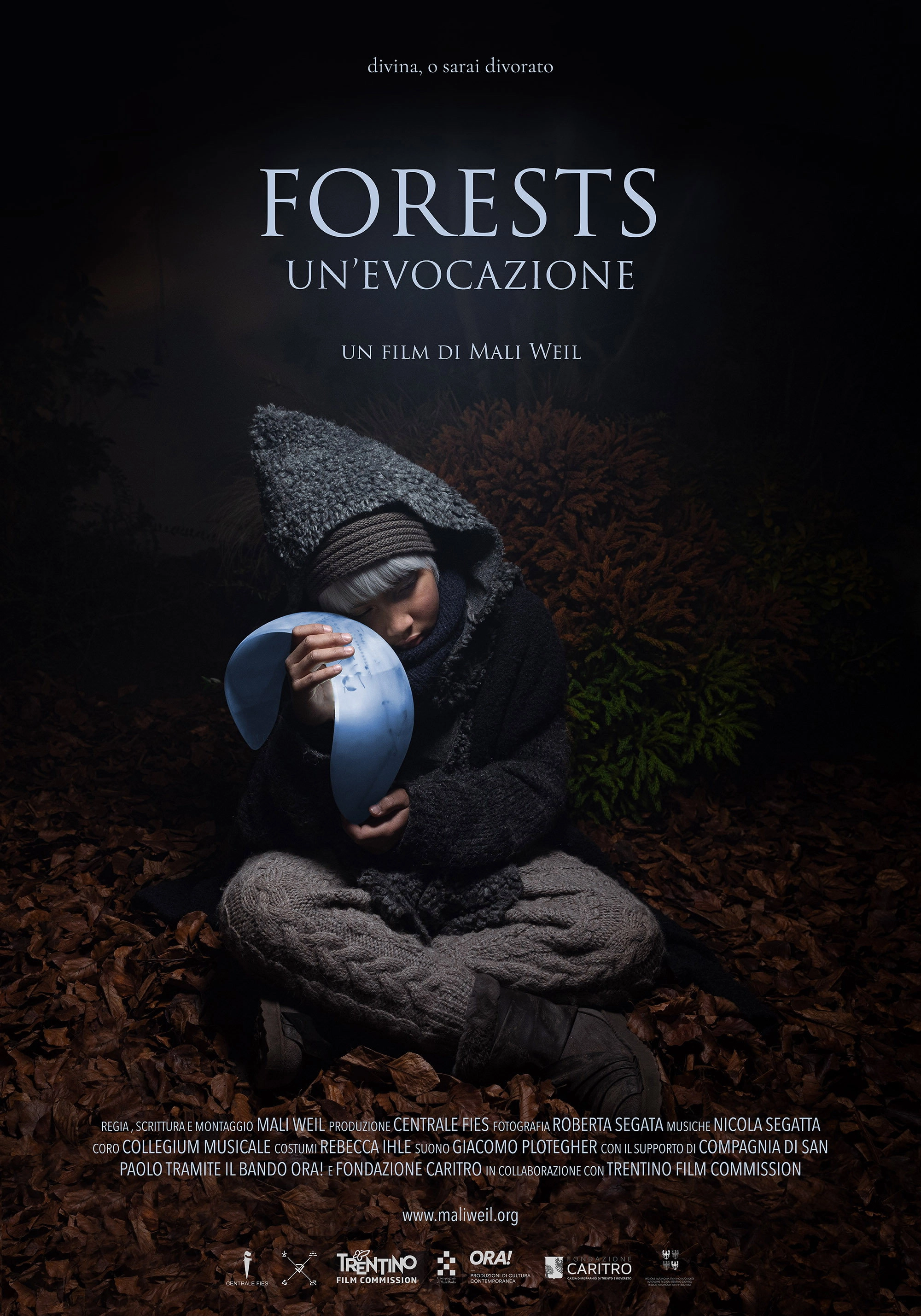 Forests - Un'evocazione