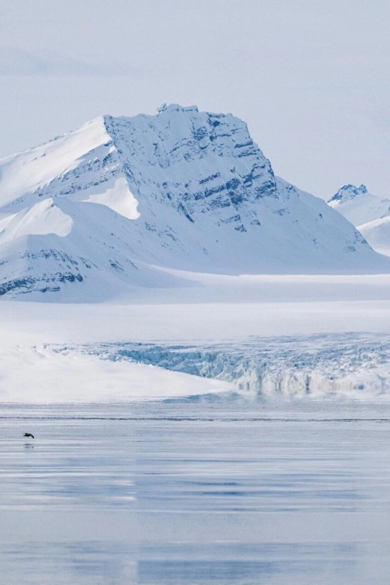 Dans les Glaces de l’Arctique