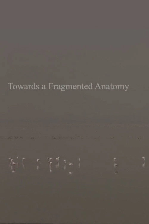 Towards a Fragmented Anatomy