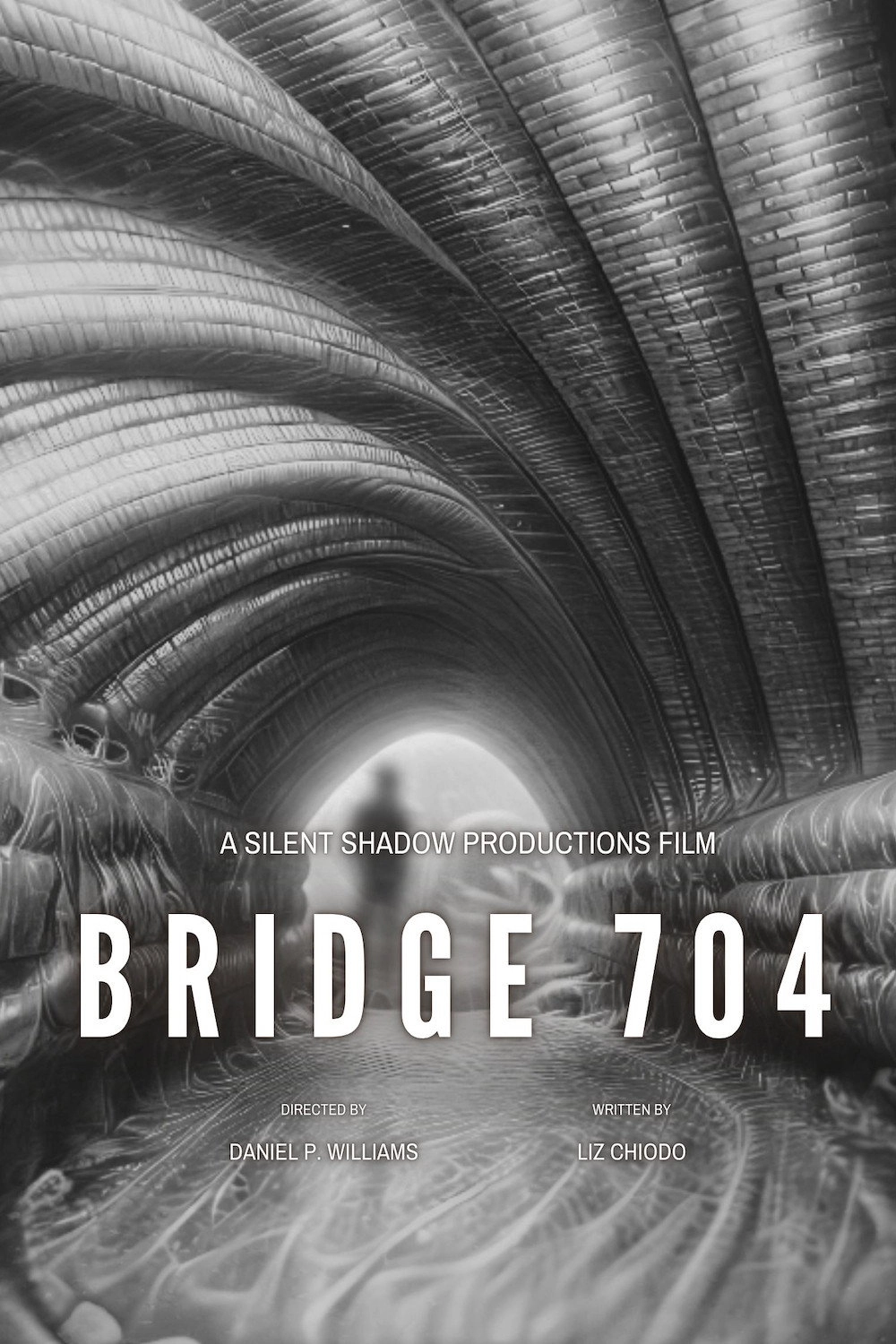 Bridge 704