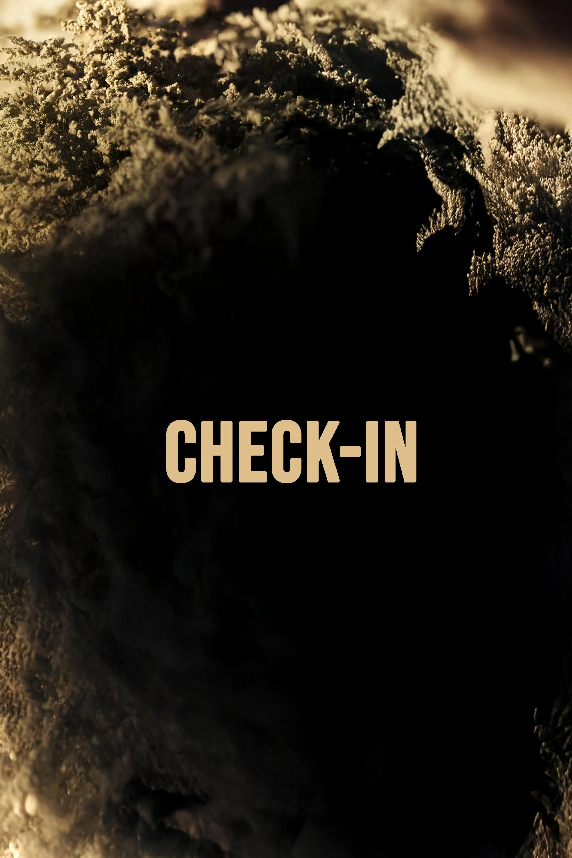 Check-in