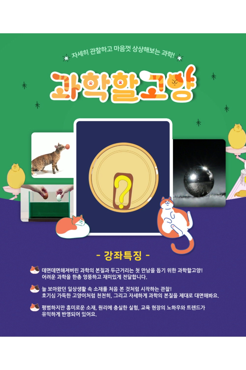 과학할고양