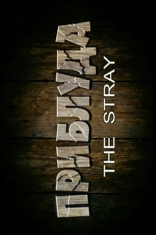 The Stray