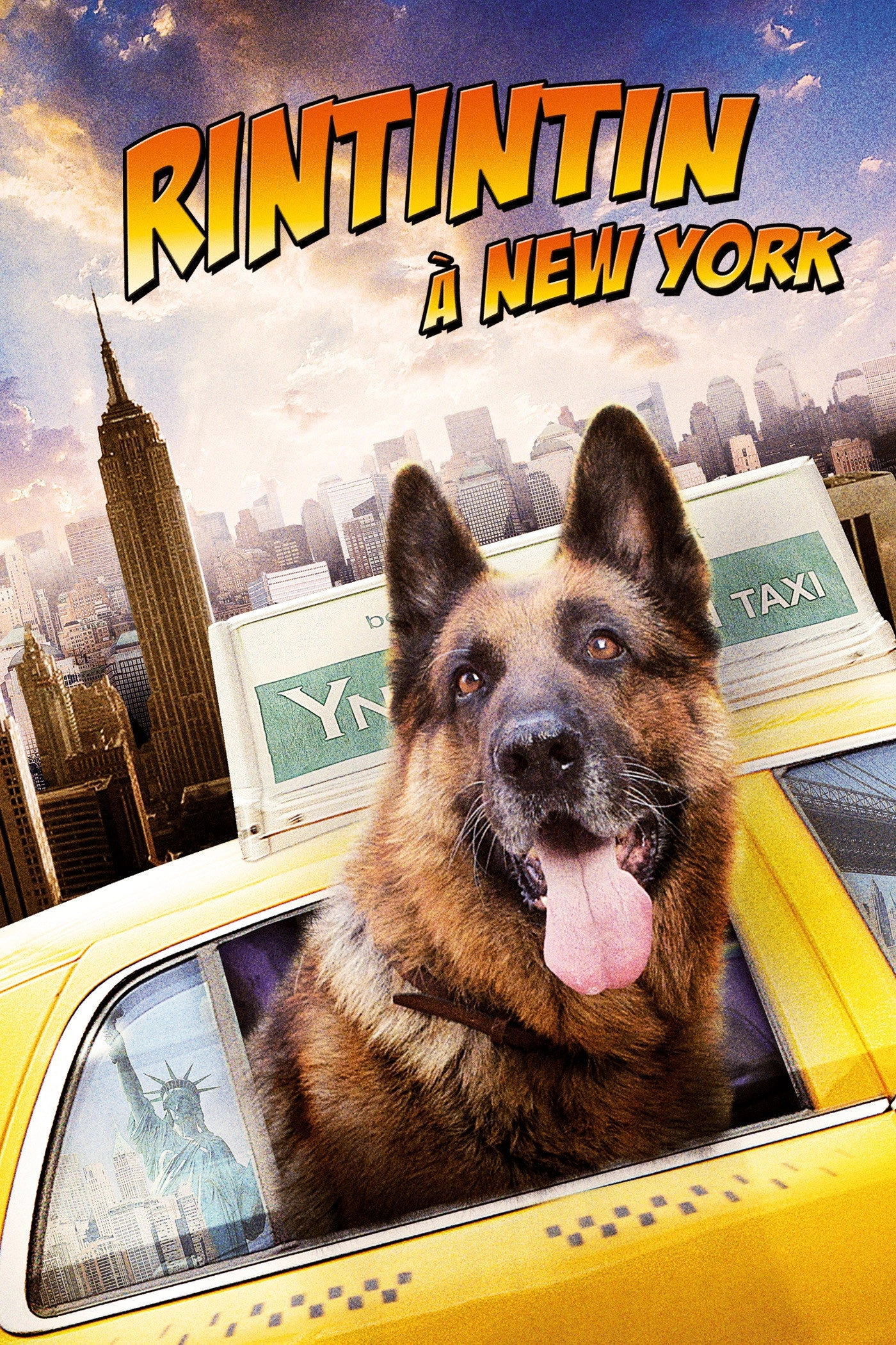 Cool Dog