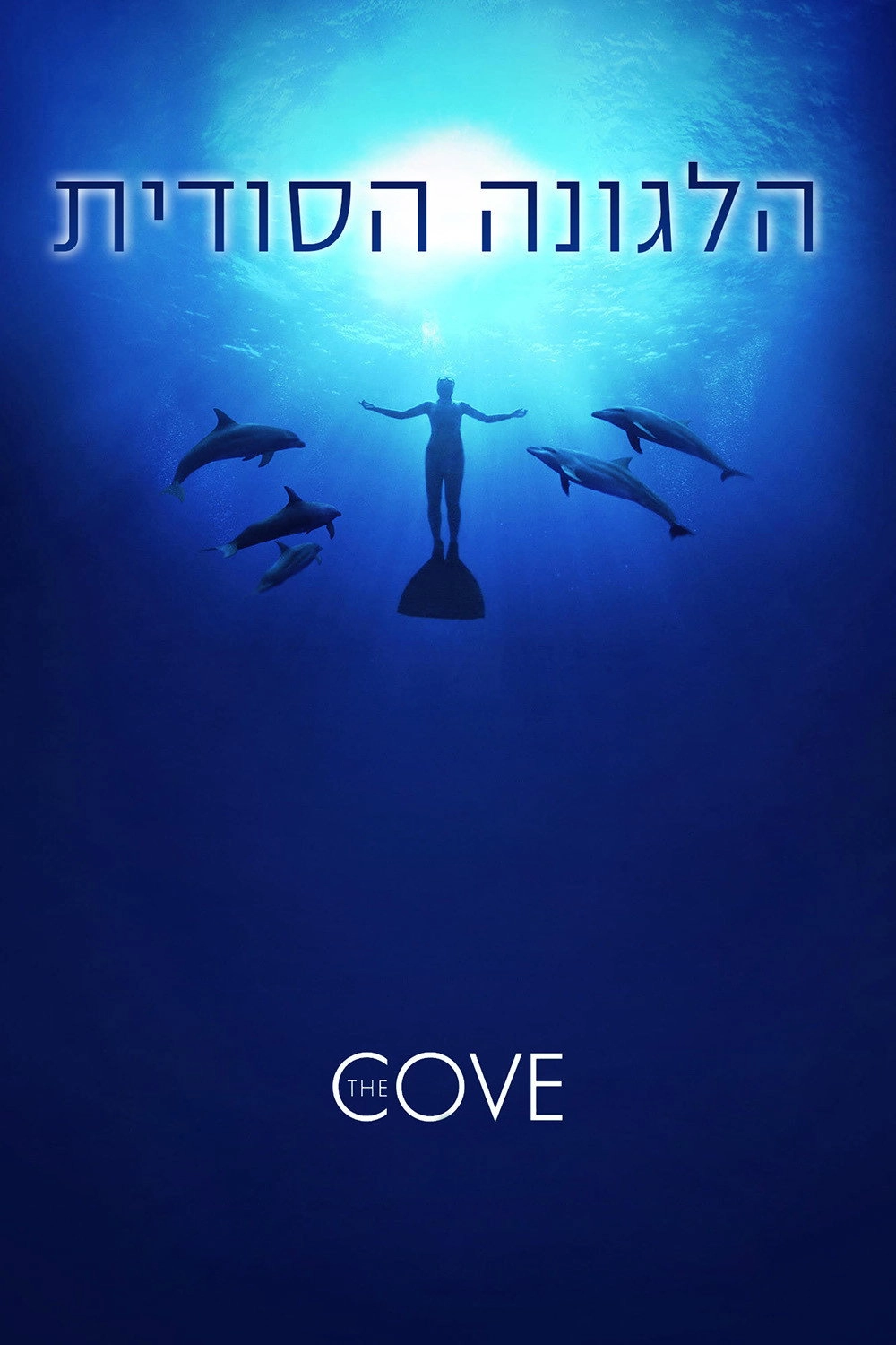 The Cove