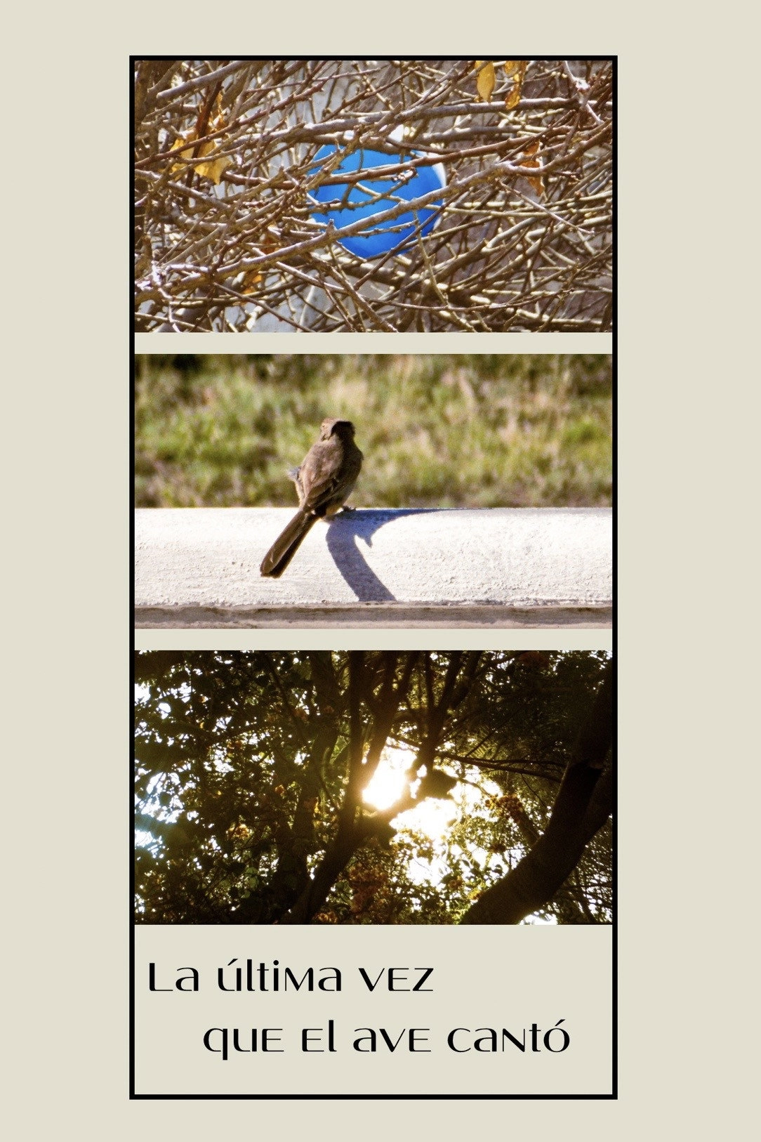 The last time the bird sang.