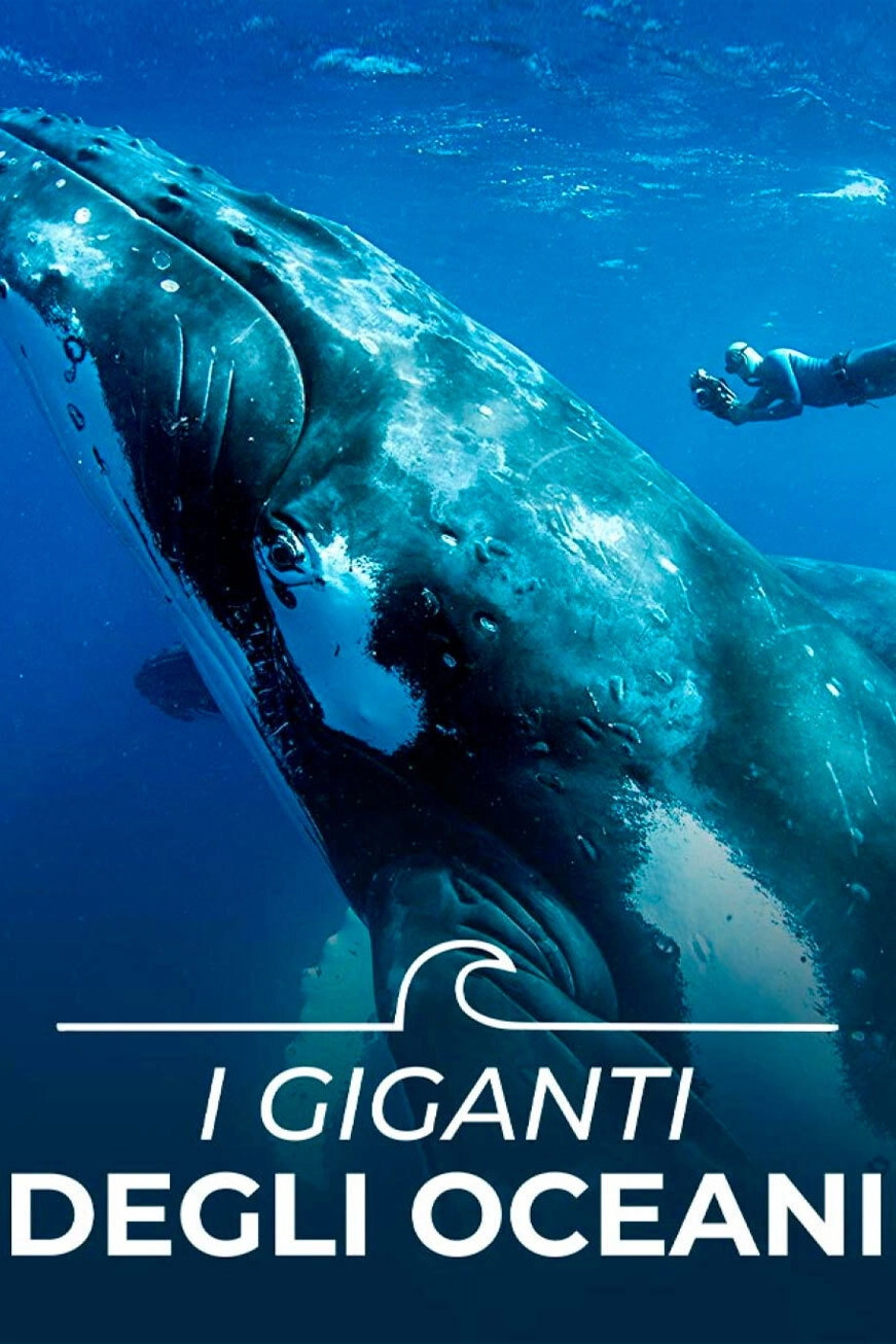 Chasing Ocean Giants