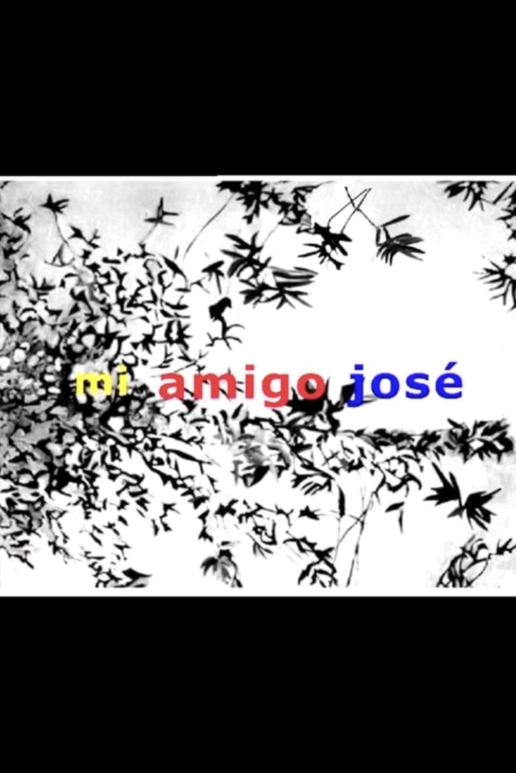 Mi amigo José