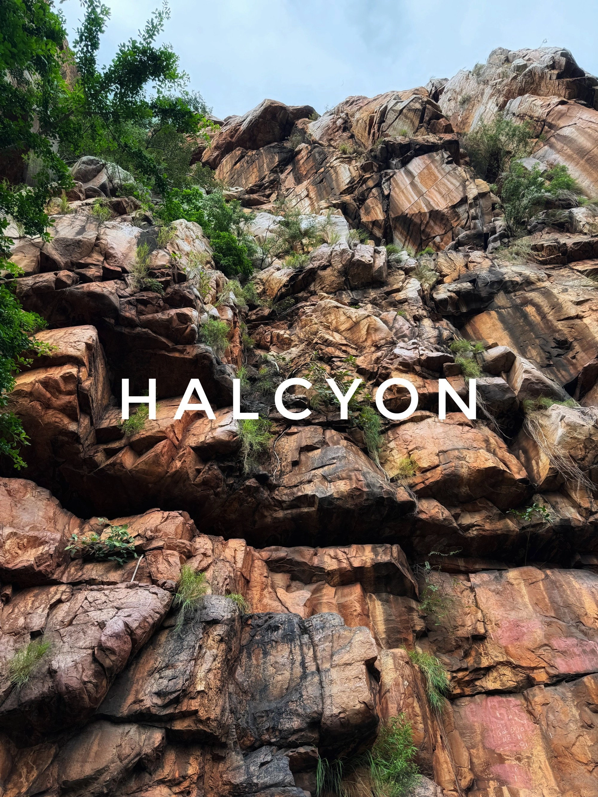 Halcyon
